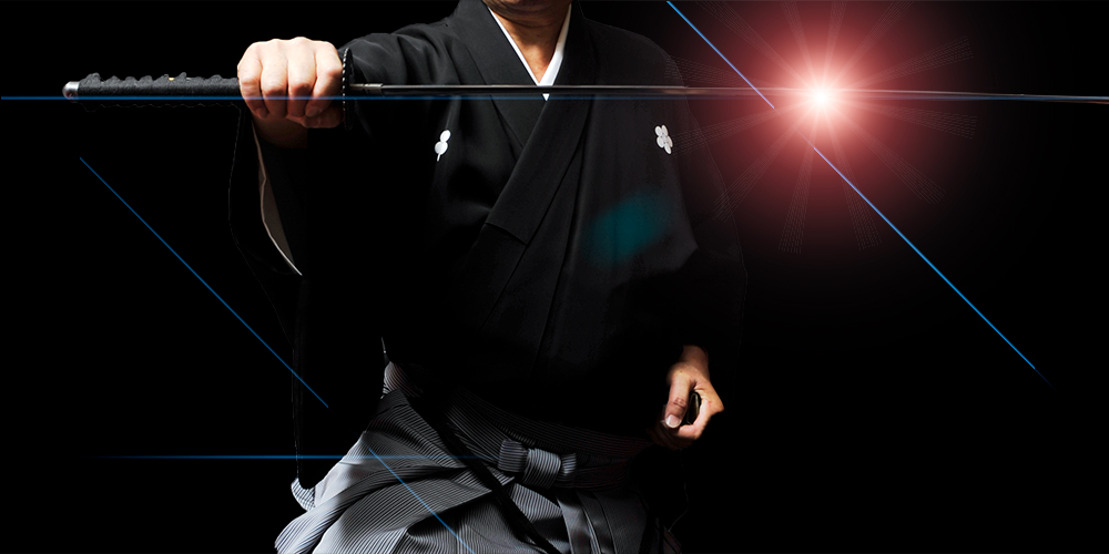 Iaido demonstration image